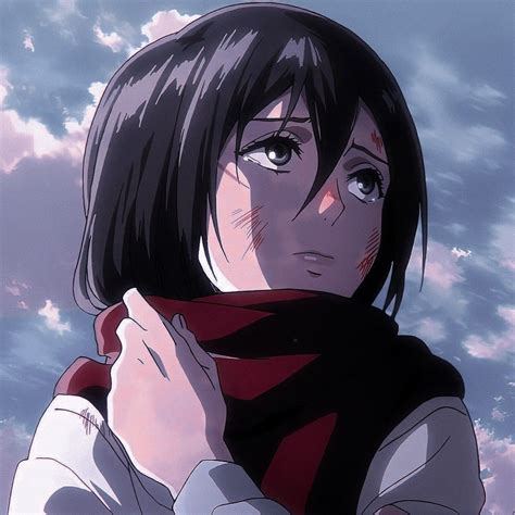 Find images of her in various resolutions, styles and themes for your desktop or phone. . Mikasa pfp